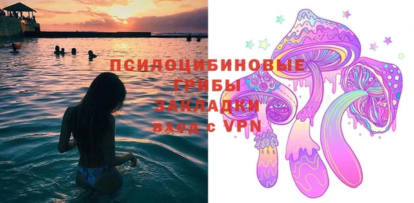 apvp Арсеньев